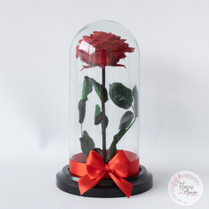 Rosa Preservada Roja
