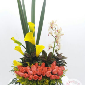 Rosas Cartucho Simbidium