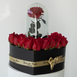 Rosa Preservada Caja Lujo