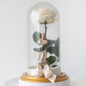 Virgen Inmaculada Preservada