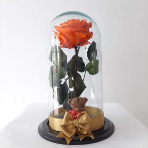 Rosa Preservada Osito