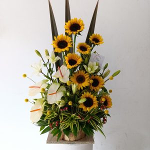 Tropical Girasoles