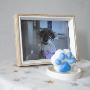 Kit Condolencias Pets Alma