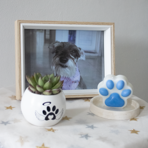 Kit Condolencias Pets Consuelo