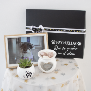 Kit Condolencias Pets Recuerdo